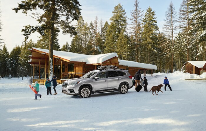 2019 ascent winter shot.png