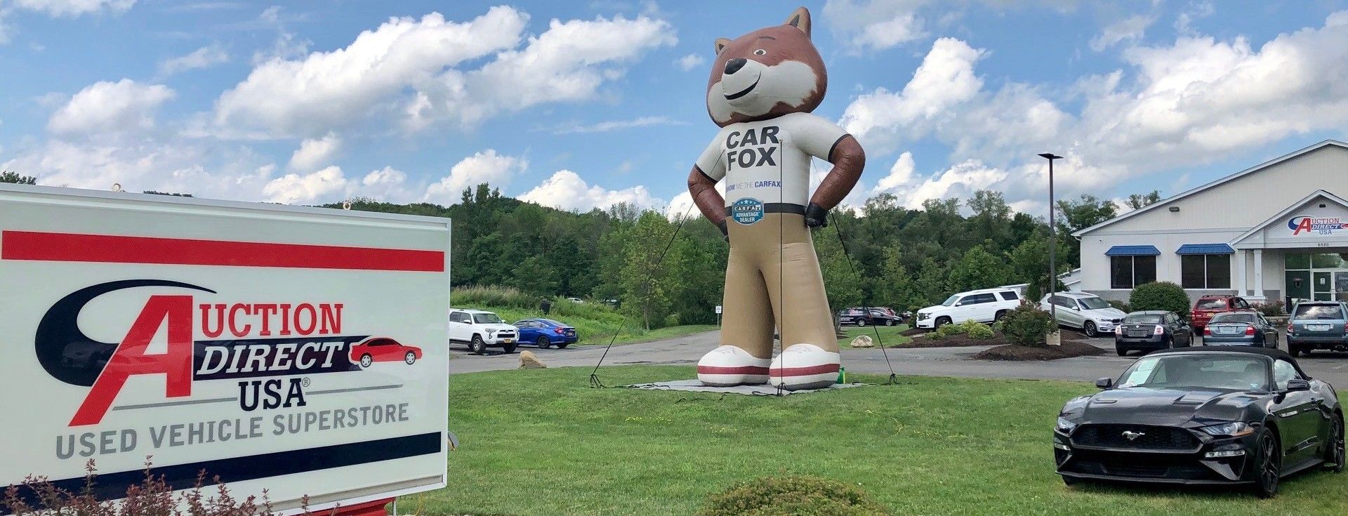 auctiondirect.carfox_d.jpg