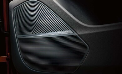 2025 Audi Q8