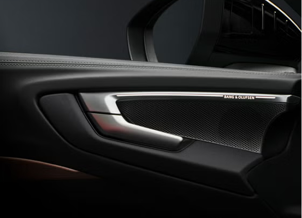 Audi A5 Bang and Olufsen premium sound system speakers