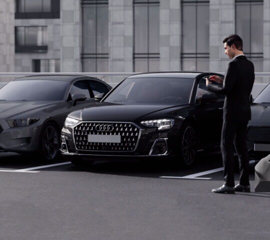2025 Audi Q8