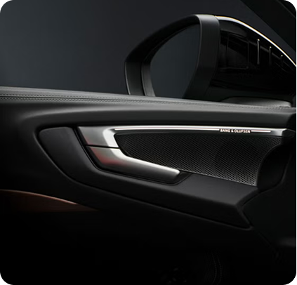 Audi A5 Bang and Olufsen speaker close-up