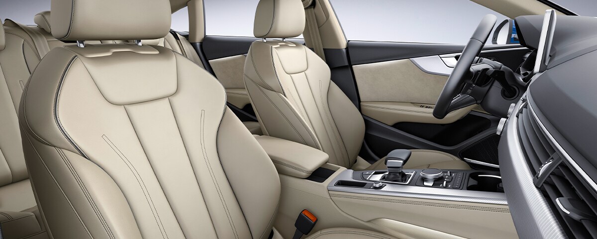 Audi interior with Air Quality Package