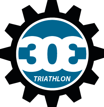 303 Logo