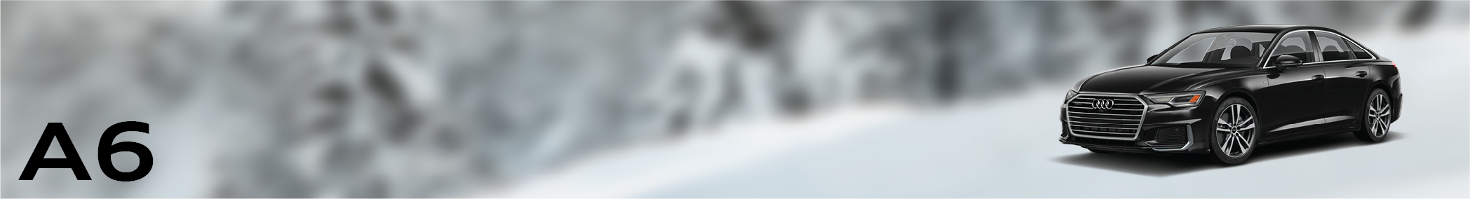 A6 Banner.png