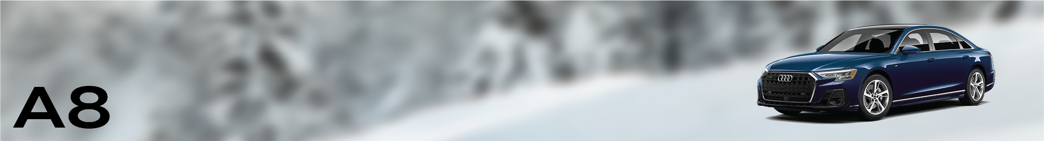 A8 Banner.png