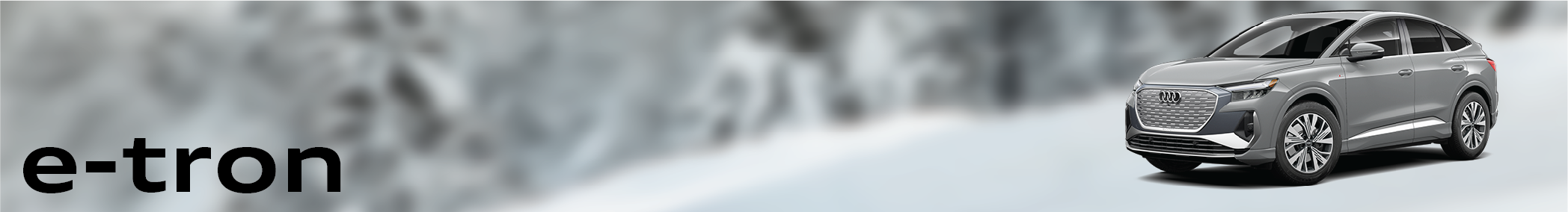 etron Banner.png
