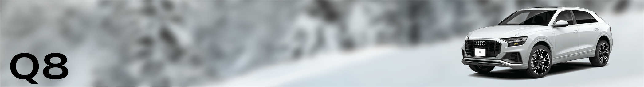 Q8 Banner.png