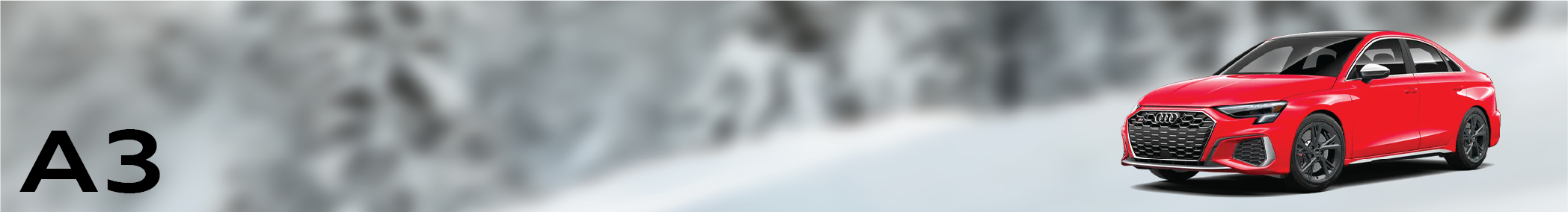 A3 Banner.png