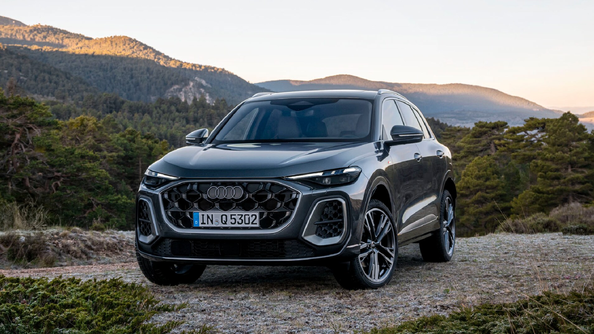 All-new Q5.png