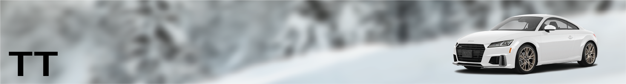 TT Banner.png