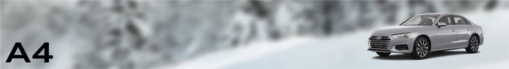 A4 Banner.png