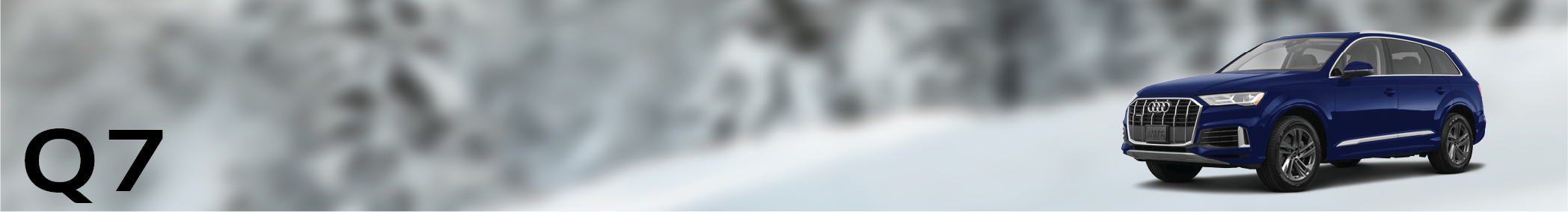 Q7 Banner.png