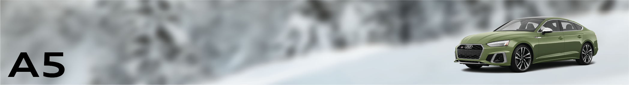 A5 Banner.png