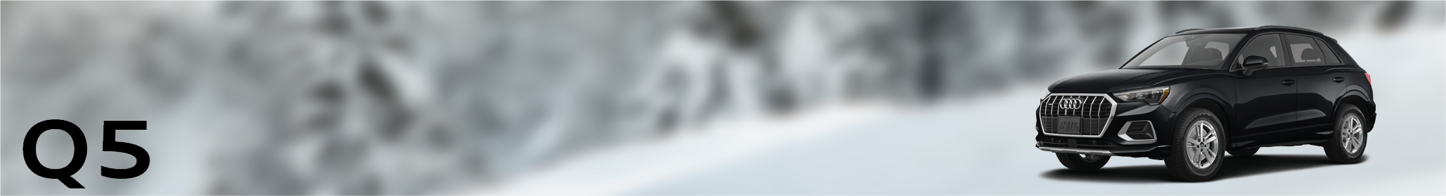 Q5 Banner.png