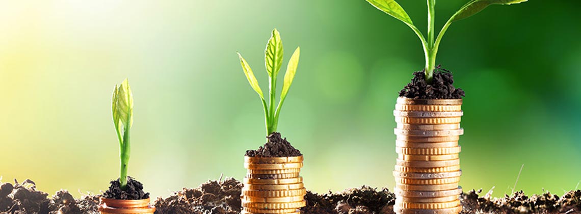 Savings That Grow