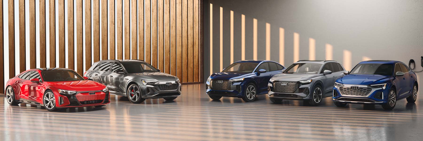 Audi EV Family