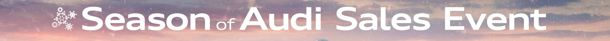 season-audi-banner-2020.png