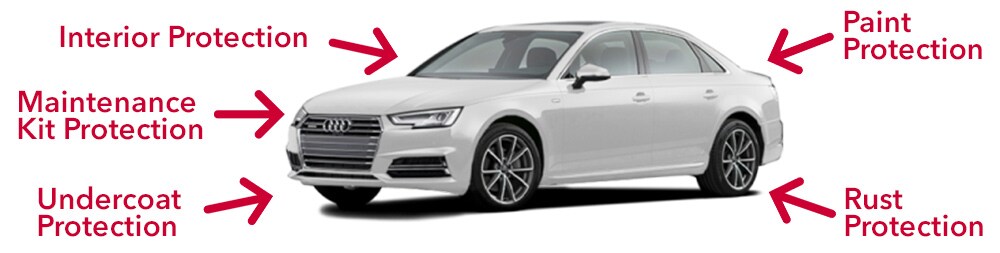 Protect Your Investment Protect Your Investment with Interior, Paint, Rust, Undercoat, and Maintence Protection
