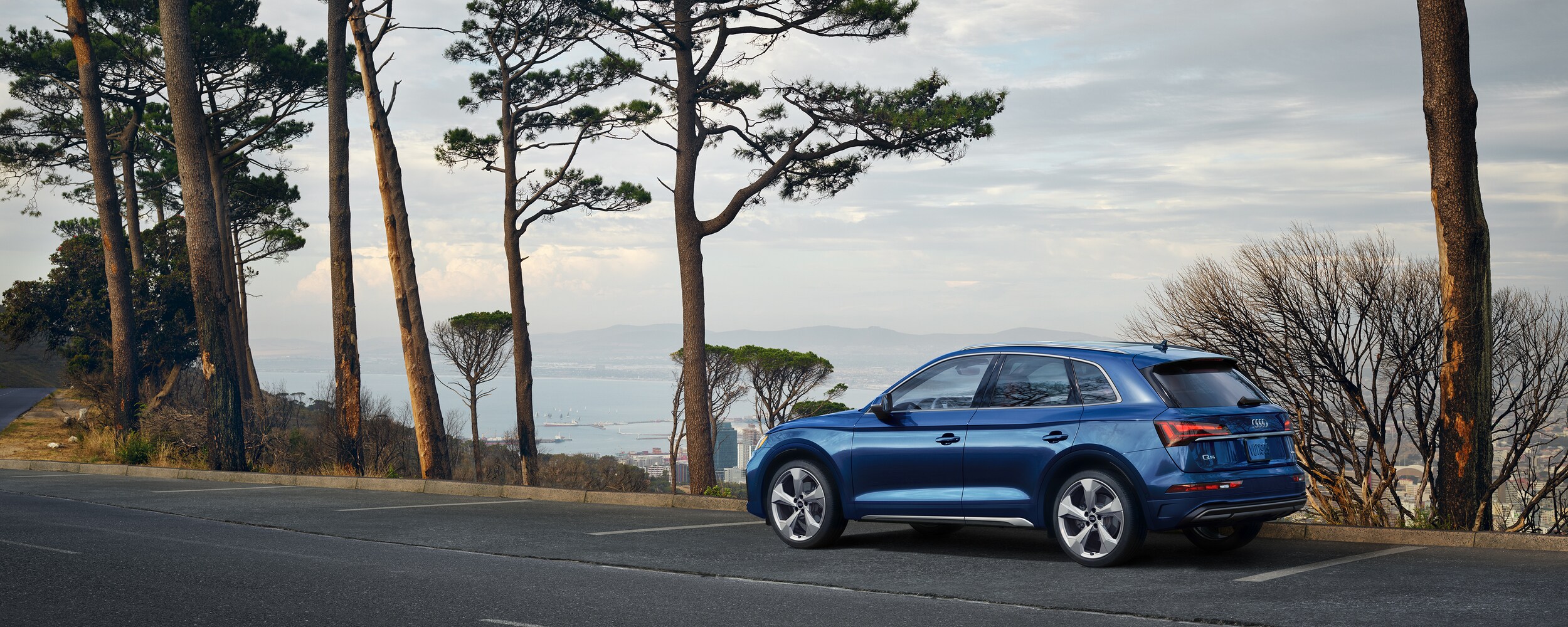 2021 Audi Q5 (3).jpeg