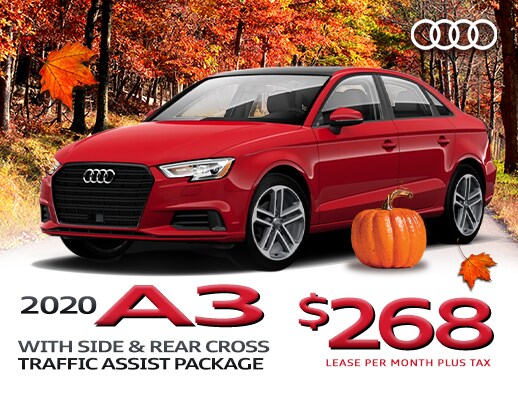 ACS_Special OCT A3.jpg