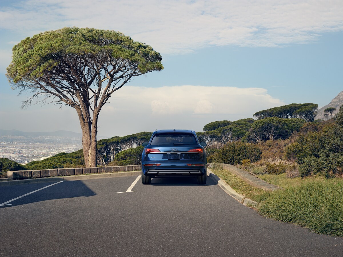 2021-Audi-Q5-PremiumPlus-45TFSI-WheelAddOn-SUV-L05.png blue Audi Q5 SUV parked in a lot under a desert tree