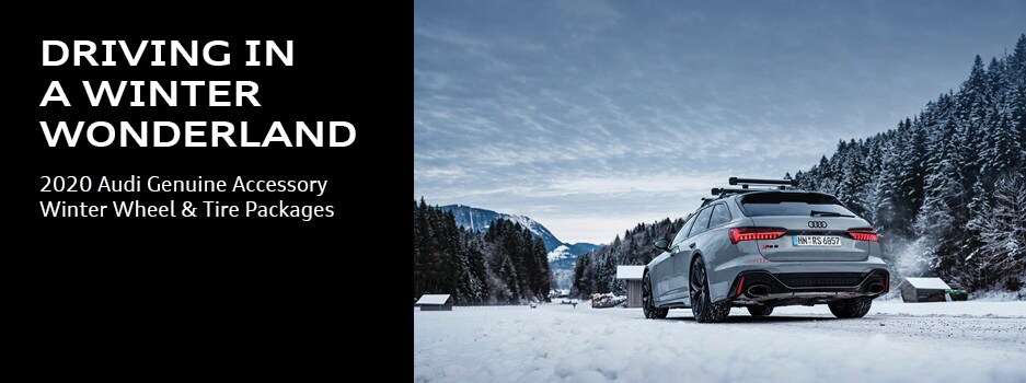 winter wonderland header.jpg