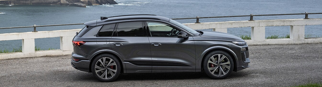 Q6etron_Profile Q6etron_Profile