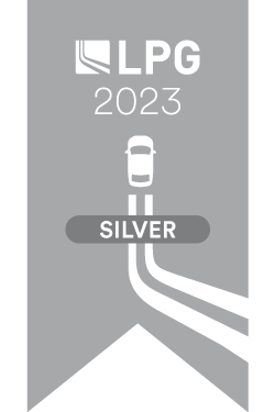 2023Â Lithia & Driveway Partners Group (LPG) Silver Award
