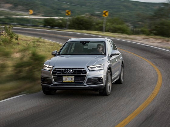 Q5 Performance.jpg