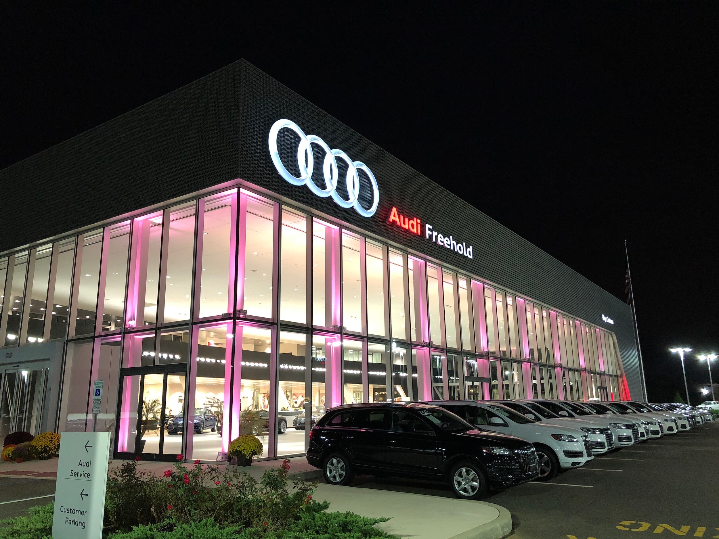 Audi Freehold