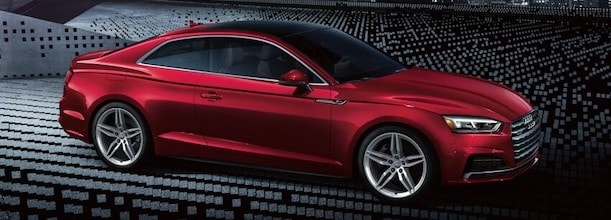 Audi service near me in Hayward