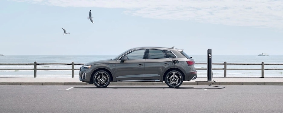 2021 Audi Q5 2021 Audi Q5 parked by a beach
