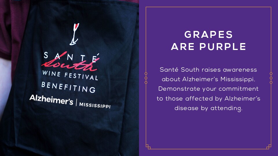 Slider_2017_GrapesPurple.png