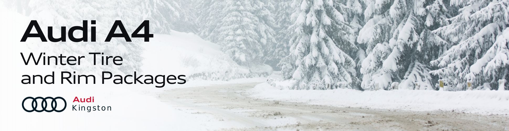 Audi A4 Winter Tire and Rim Packages