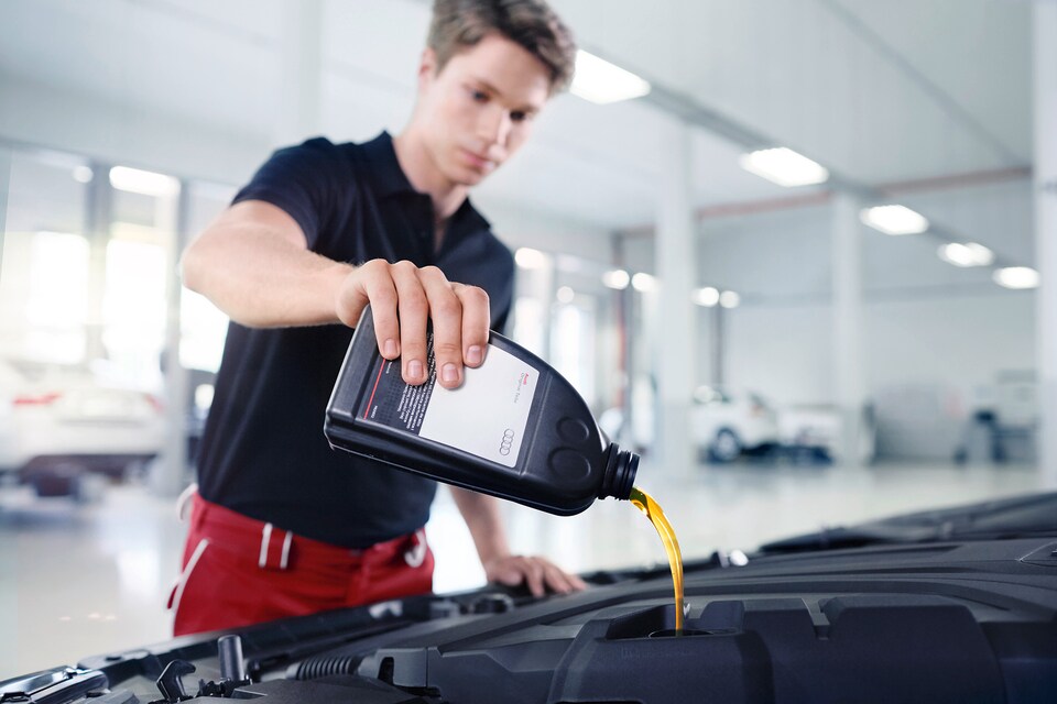 Audi Oil Change.jpeg