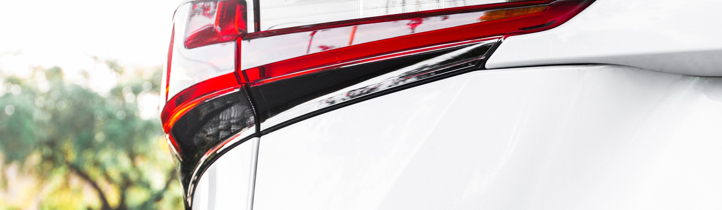 Lexus-back-light-Audi.jpg