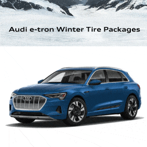 Audi e-tron Winter Tire Packagesv