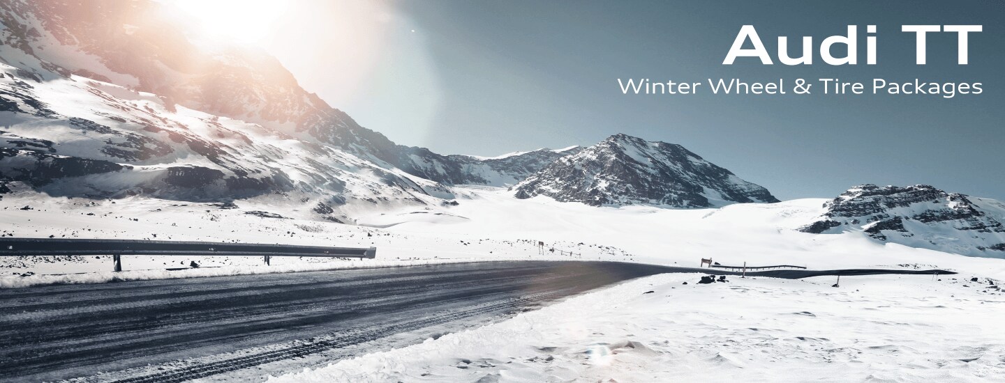 Audi TT Winter Tire Packages