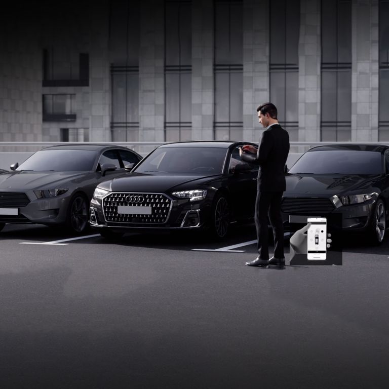 Remote Park Assist Plus