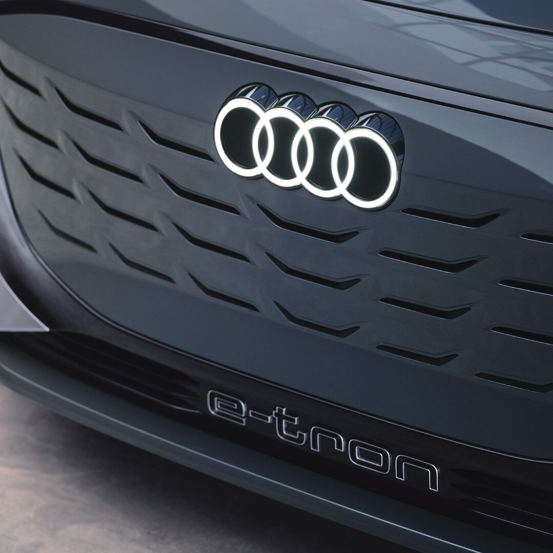 Singeframe-front-grille.jpg