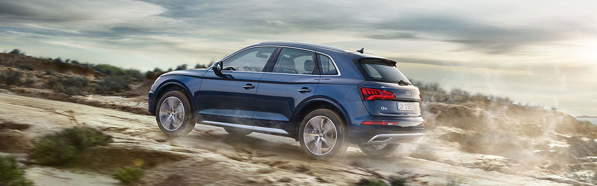 2019-q5-action-resized.jpg
