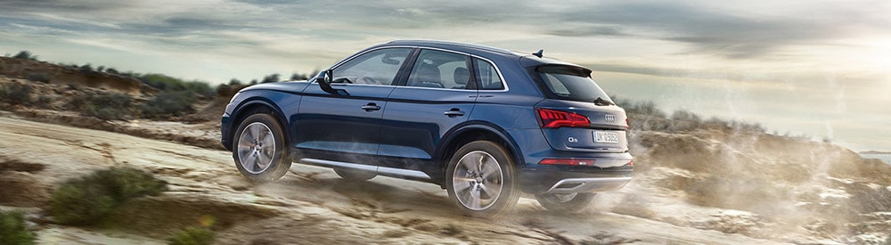 2019-q5-action.jpg
