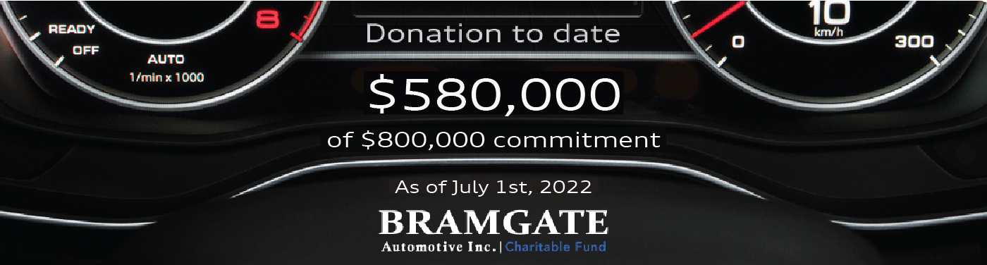 Charitable Fund Total.png