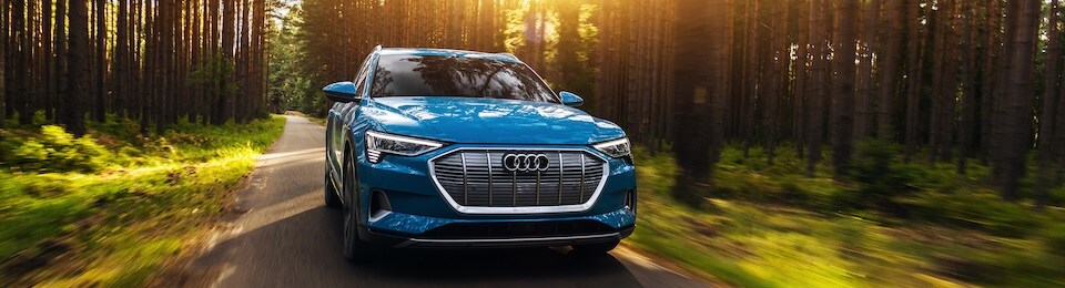 2019 Audi etron driving in the woods