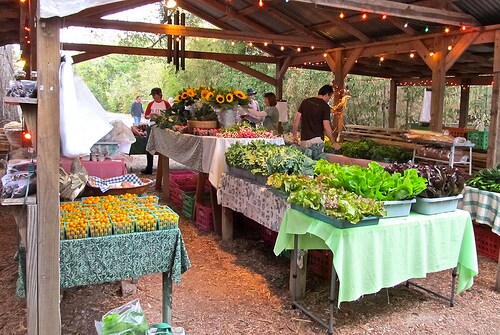 boggy creek farm.jpg