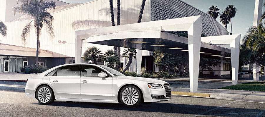MY15 A8 Ibis White Exterior.png