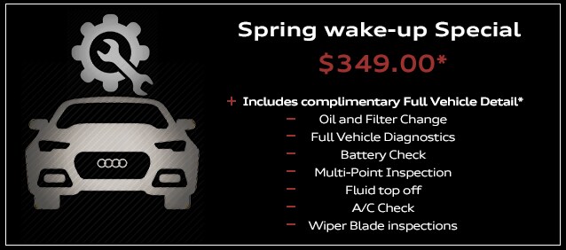 audi service.jpg