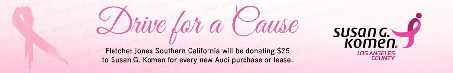 Drive for a Cause