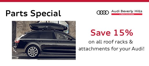 Mar 2019 roof rack.jpg